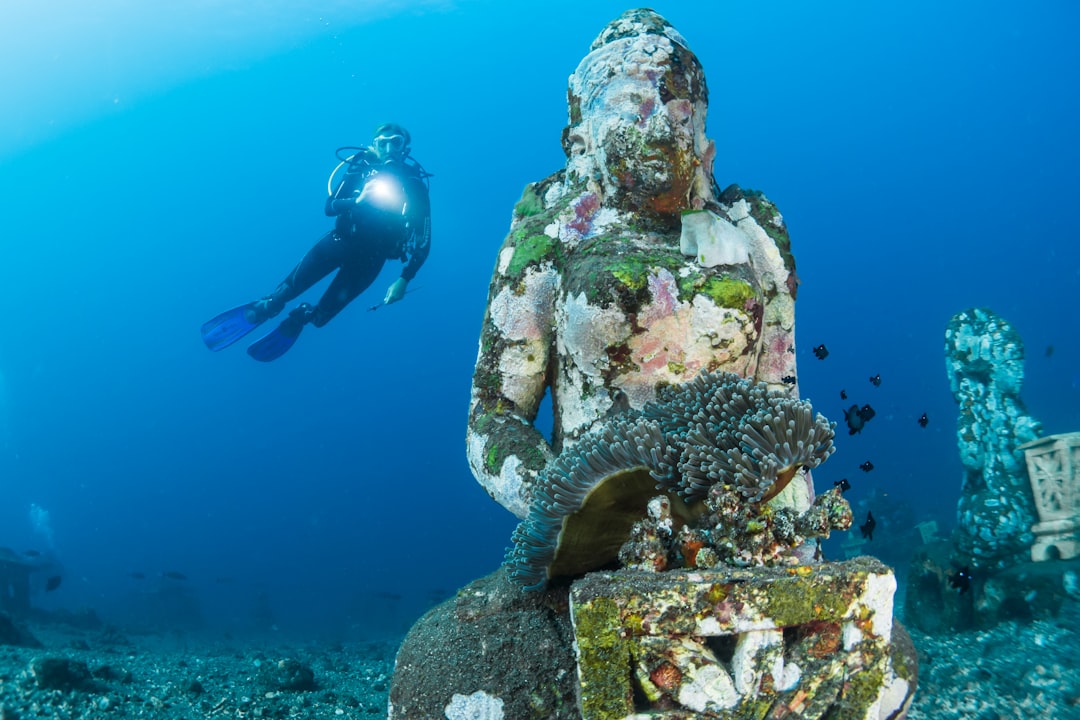 Photo Underwater paradise